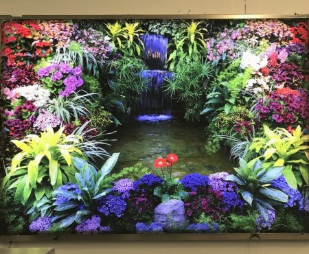 Lightbox Display