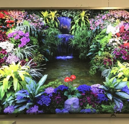 Lightbox Display