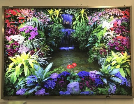 Lightbox Display