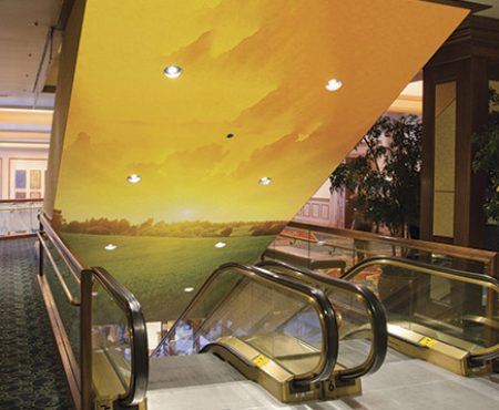 Ceiling Graphics