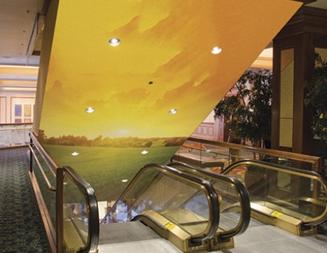 Ceiling Graphics